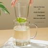 Yaji Heat-Resistant Borosilicate Glass Tea & Water Cup Collection