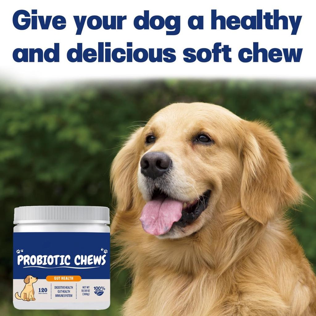 Pet Probiotic Chewable Tablets A Variety Of Enzyme Blends To Promote Intestinal Digestion Health Supplements For Dogs