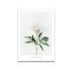 Salade Mama 3-Piece Art Poster Set, A4 Size, Frameless, with Flower, Plant, and Figure Motifs, Korean-Style Interior Design