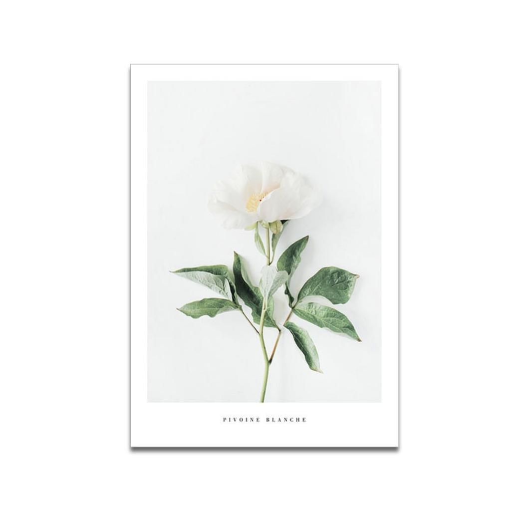 Salade Mama 3-Piece Art Poster Set, A4 Size, Frameless, with Flower, Plant, and Figure Motifs, Korean-Style Interior Design