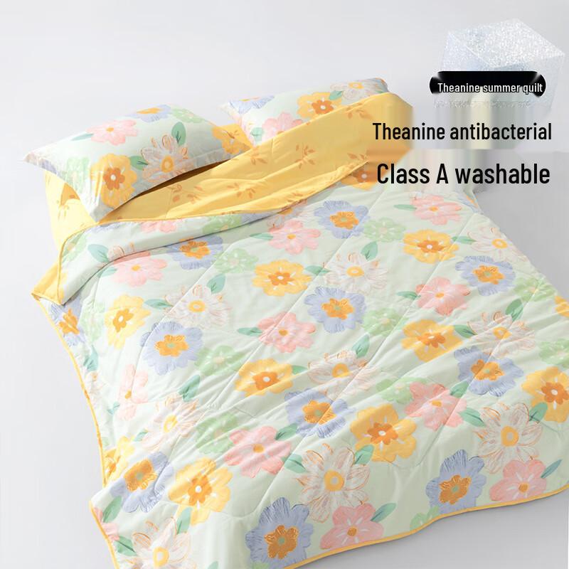 

Bailisi Antibacterial Printed Summer Quilt