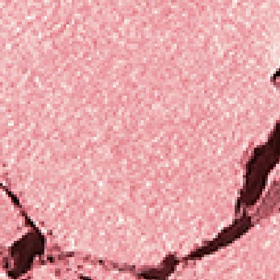 HOLIKA HOLIKA My Favorite Peace Eyeshadow/Gel Tail/Peace Beam/Peace Balm