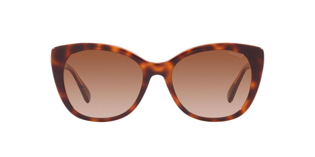 Sunglasses HC8365U CH566 PINK PINK GRADIENT Lens 55 [Coach] TORTOISE/TRANSPARENT Frame/BROWN