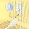 300ML Parrot Water Dispenser Striking Needle Plastic Parrot Waterer Automatic Bird Water Bottle For Parakeet Budgerigar Parrot