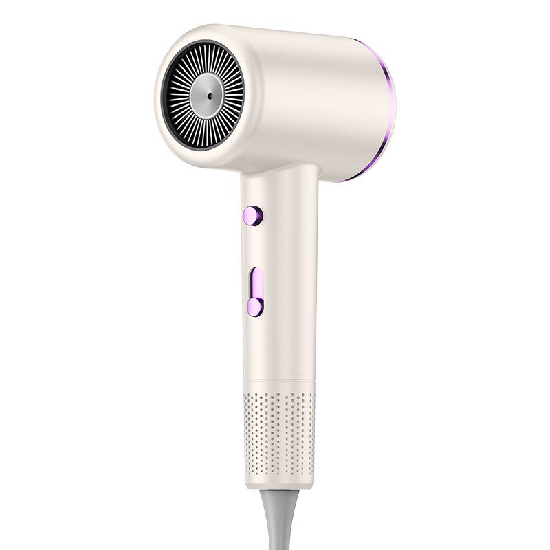 High-Speed Blue Light Negative Ion Hair Dryer for Home & Salon Use