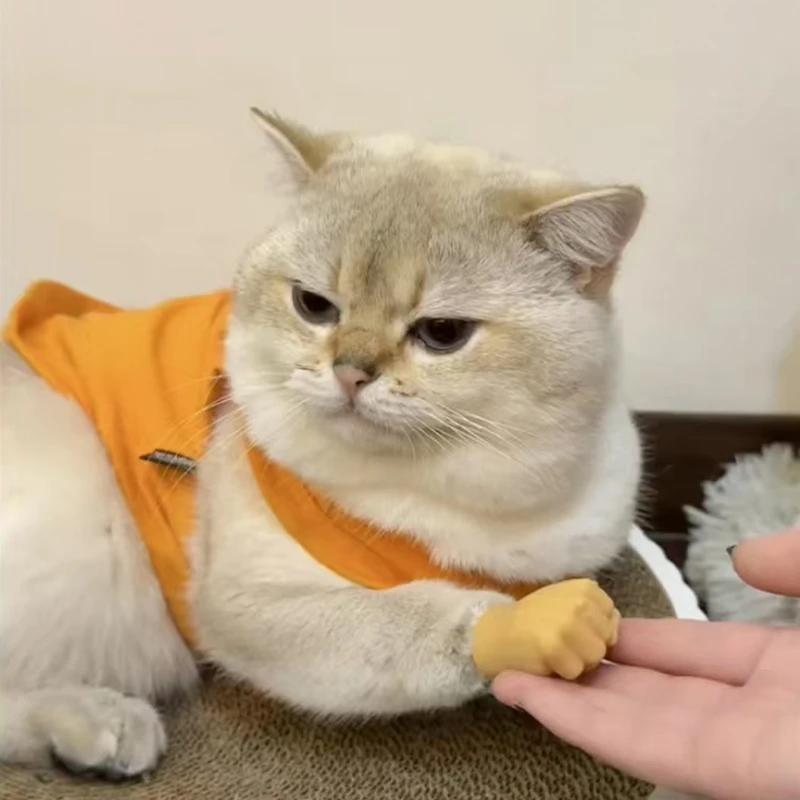 Cat Novelty Multi-Style Toy Teasing Cat TPR Soft Finger Gloves Funny Mini Hands Pet Massage Tools Fake Hand Cat Interactive Toys