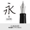 PILOT Fountain Pen Custom Heritage 912 Broad B Black FKVH2MRBB