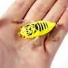 Pack of 8 5.50g Realistic Cicadas Fishing Lures With Colorful Color For Basses And Top Water Fishing In Freshwater Lake