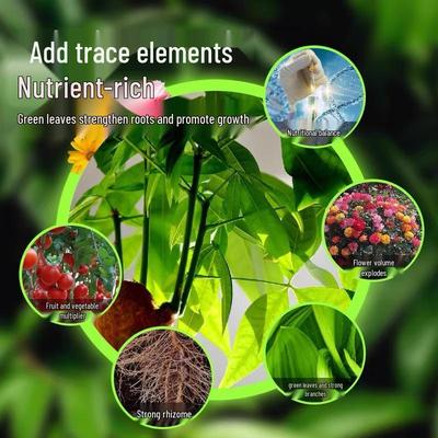 Uniwersalny roztwór odżywczy dla roślin doniczkowych: Idealny dla drzewek pieniężnych, szczęśliwego bambusa, epipremnum, hydroponiki i kwiatów domowych