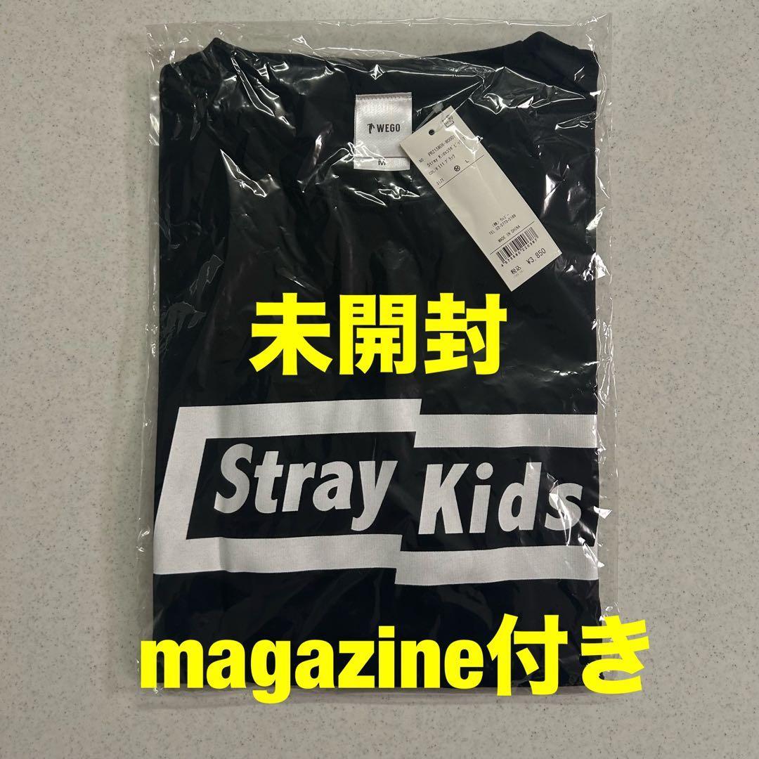 Stray Kids Sukizu WEGO collaboration big T-shirt M