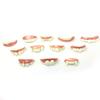 8/10/12Pcs Halloween Teeth  for Cosplay Party, Funny Gag Teeth Halloween Dentures Set for Adult Halloween Masquerade