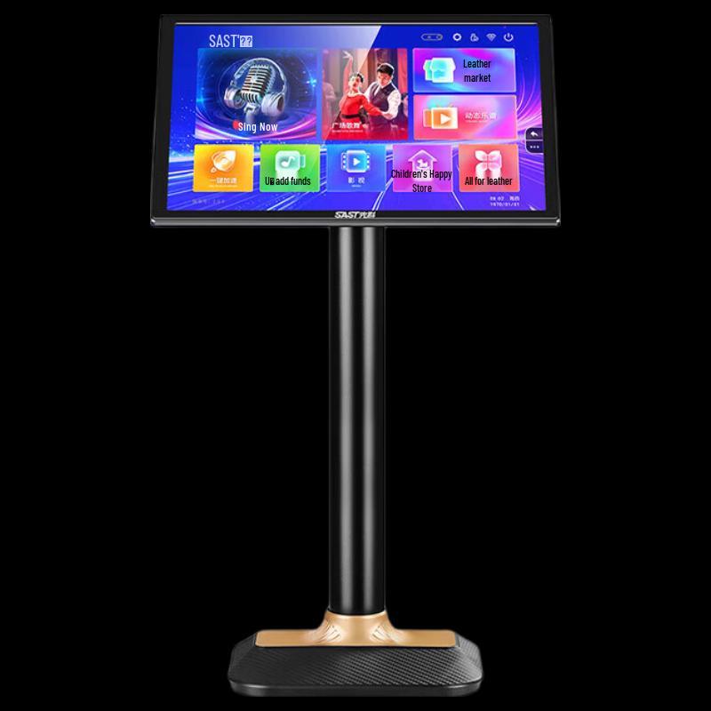 SAST Professional Home KTV Karaoke Machine CN Plug (adapter Included)
