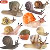 Oenux Wild Insect Animals Snails Growth Cycle Model Garden Decoration Figurines PVC Miniature Cute Education Kids Toys