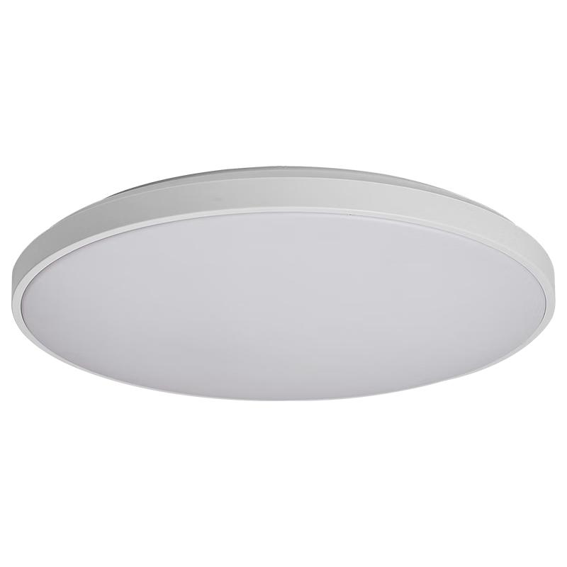 Foshan Lighting LED Ceiling Lamp