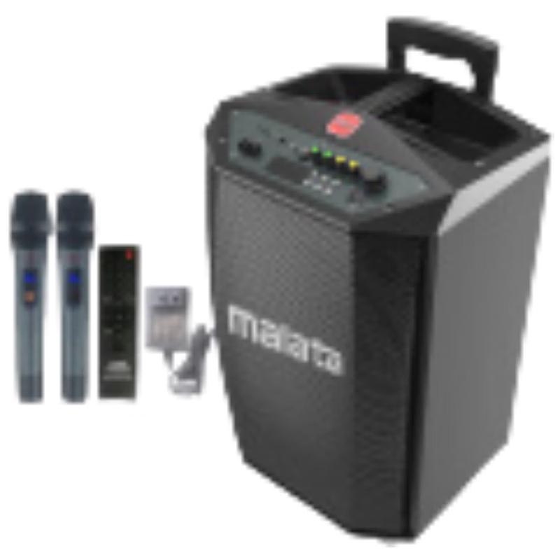 Malata Portable Outdoor Bluetooth Guitar & Karaoke Speaker