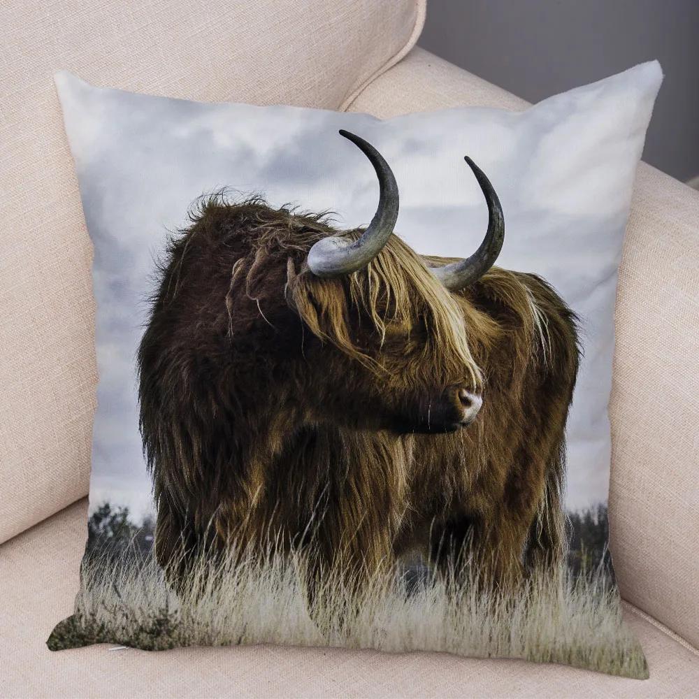 Scotland Kyloe Pillow Case Decor Wild Cow Colorful Animal Print Pillowcase Soft Short Plush Cushion Cover for Home Sofa 45x45cm