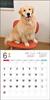 2024 Calendar Golden Retriever (Seibundo Shinkosha Calendar)