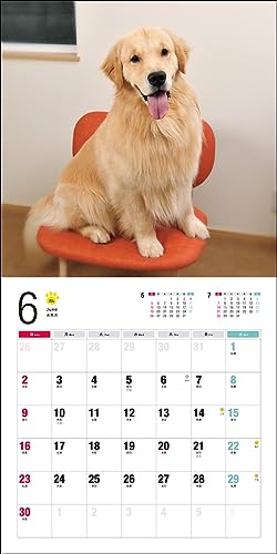 2024 Calendar Golden Retriever (Seibundo Shinkosha Calendar)