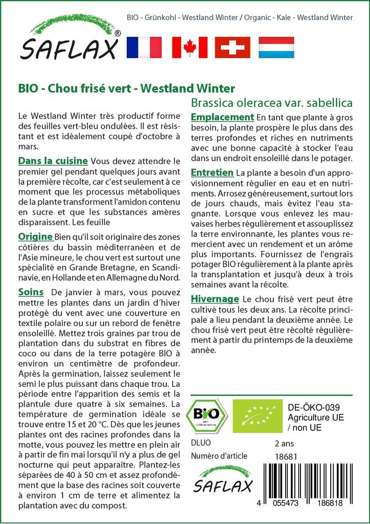 SAFLAX Bio - Kapusta - Westland Winter - 70 semen - Brassica oleracea