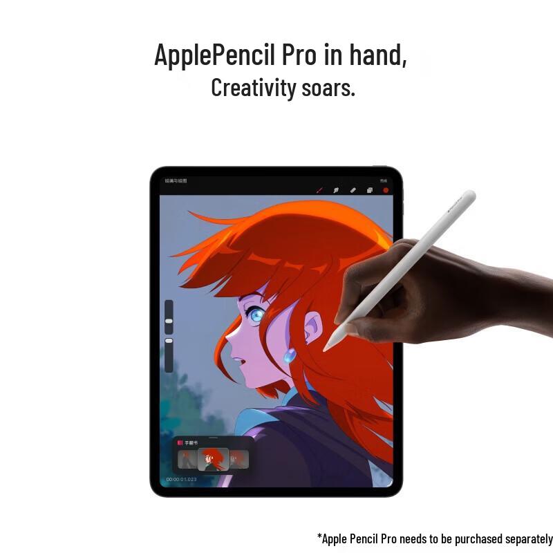 Apple iPad Pro 13-inch M5 2025 WLAN Tablet (CN version)
