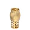 Anti Backflow Bottom Valve Female Thread Check Valve Brass Brass Foot Valve  Direct Supply