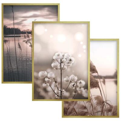 Wandposter Set 30x40 Goldener Rahmen Bilder für Wohnzimmer Schlafzimmer Gräser