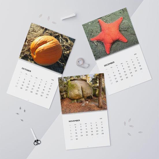Nature Butts 2026 Kalender Jan. 2026 - december. 2026 Hängande Kalender Rolig 12 Månaders Planerare White Elephant Skämtpresenter till Familj Vänner