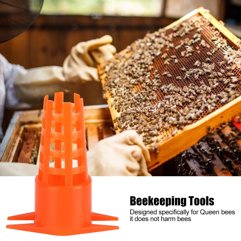 30pcs Plastic Bee Queen Cage Protective Cover Queen Rearing Cup Beekeeping Equipments Tools