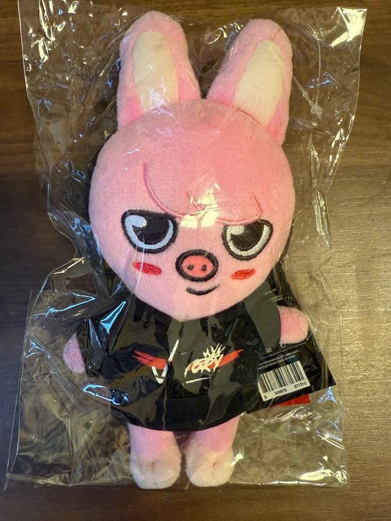 [USED] SKZOO Mini Plush Toy Toekki Changbin Straykids