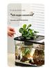 Transparent Plastic Desktop Goldfish Tank for Home Decor - Small & Medium Sizes Available