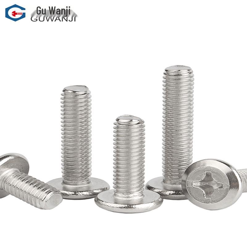 Guwanji 304 SS Phillips Flat Head Furniture Screws