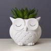 Ceramics Succulent Pot Cute Green Onion Pots Home Decor Owl Planter  Patio