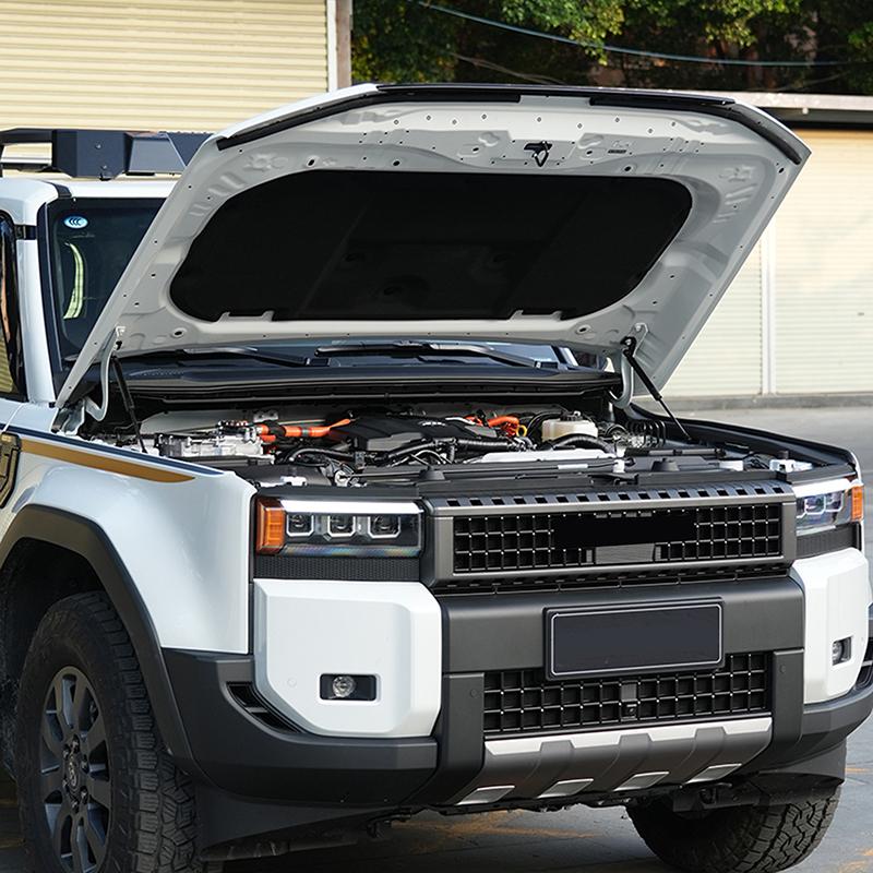 For Toyota Land Cruiser LC250 J250