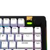 Glorious GPBT Basics Keycaps Classic White - US - Retail GLO-KB-ACC-KC-GPBT-BA-CWHT-US KB0858
