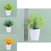 Plastic Faux Greenery Indoor Outdoor Plant Pot Decorative Small Potted Plant For Desk