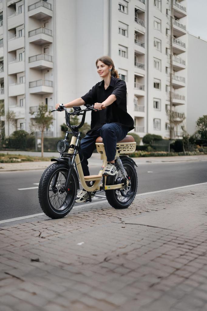 ONESPORT W77 Electric Bicycle 500W Motor, 48V 18Ah Battery, 20*4.0 Fat Tires, 90KM Range, Hydraulic Disc Brakes E-Bike