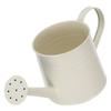 Lightweight Iron Watering Can with Comfortable Handle and Fine Sprinkler Nozzle for Houseplant Care Flower Watering Garden