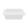 Disposable Plastic Rectangular Lunch Box