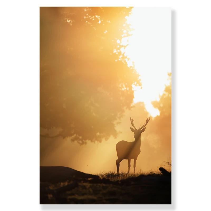 Autumn Country Landscape Lake Tree Animal Deer Forest Canvas Prints and Posters Pumpkin Reed Painting Living Room Picture Decor