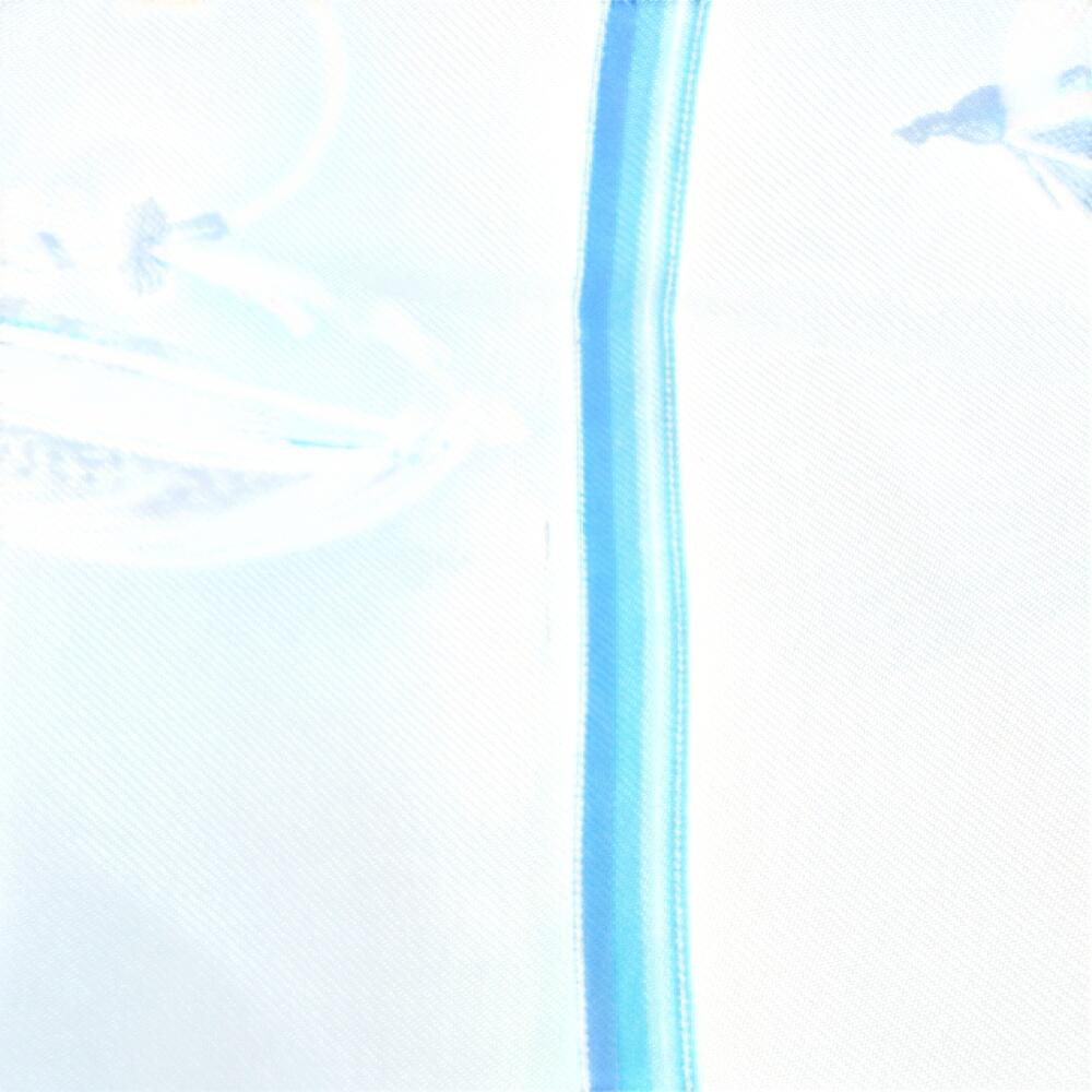 HERMES Flies silk Calle 90 scarf blue silk Used