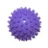 WEZHO Fitness Spiky Massage Ball