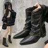 Large Size Pointed Square Heel Rivet Fashion Boots Autumn and Winter New V-mouth Medium Tube Women's Boots