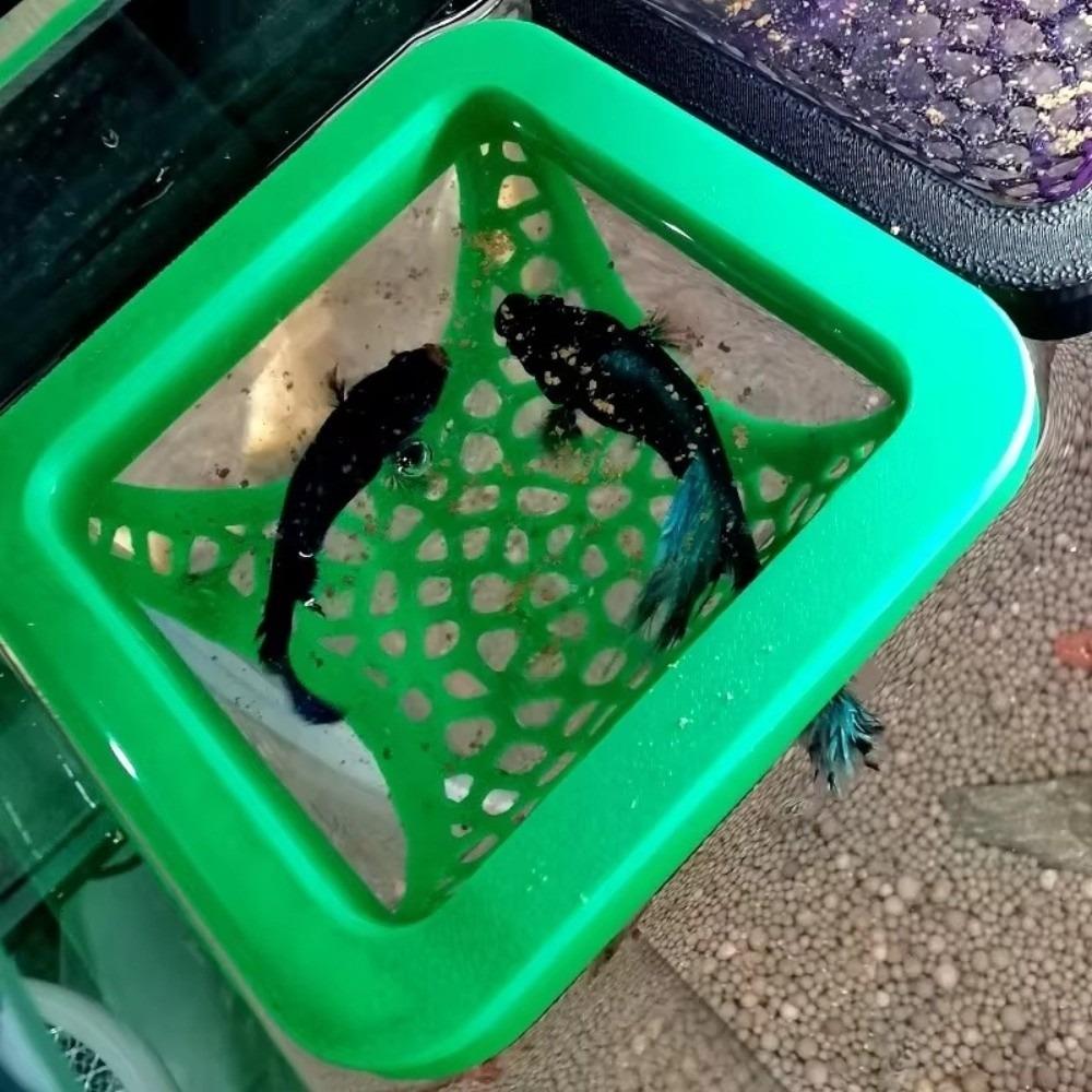 Ornamental Habitat Fish Refuge Caves Aquarium Tunnel Shrimp Hiding Places  Fish Tank Decoration