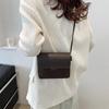 2024 Spring Women's Fashion: Elegant Small Shoulder & Messenger Bag