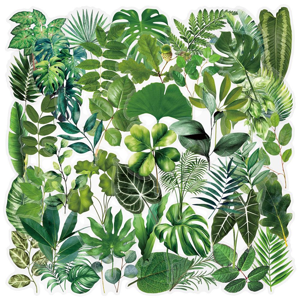 50Pcs Transparent Green Plants Stickers for DIY Waterproof Scrapbook Stationery Travel Luggage Water Bottle Phone Laptop