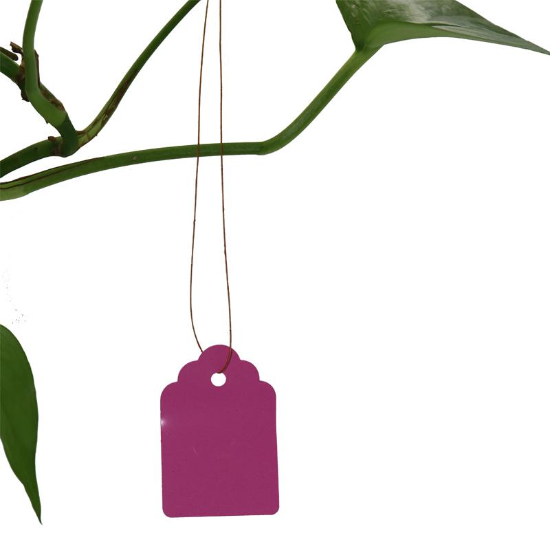 

200pcs Waterproof Plastic Garden Plants Flower Seedlings Label Brand Label Durable, Reusable Markup Tools Free Shipping