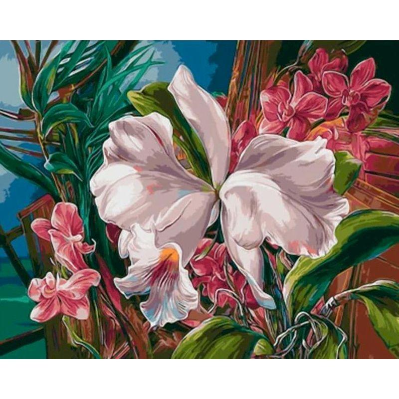 GATYZTORY 40x50cm Frame Painting By Numbers For Adults Color Flower Oil Picture HandPainted Diy On Canvas Home Wall Art