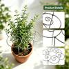 Metal Plant Support Spiral Design Garden Tool for Indoor Outdoor Potted Plants Durable Structure for Vertical Growth Support