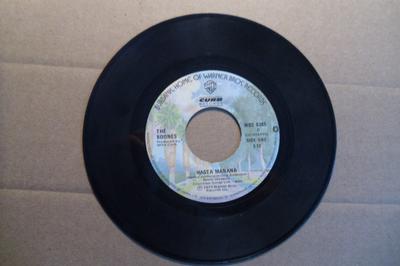 7inch Record BOONES - Hasta Manana WBS8385 Warner Bros. Re 1977 Canada Pop Used
