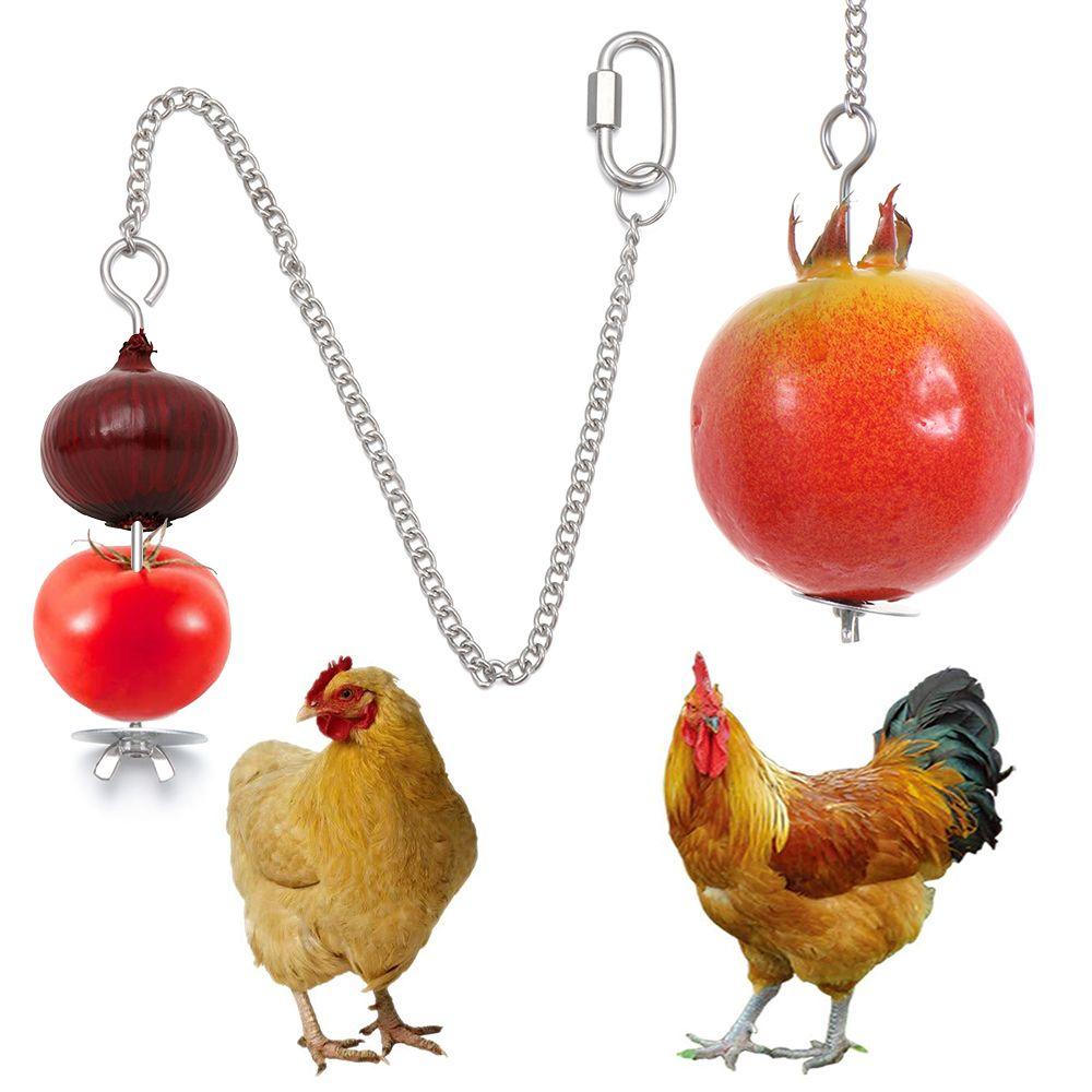 electronic chicken feeder